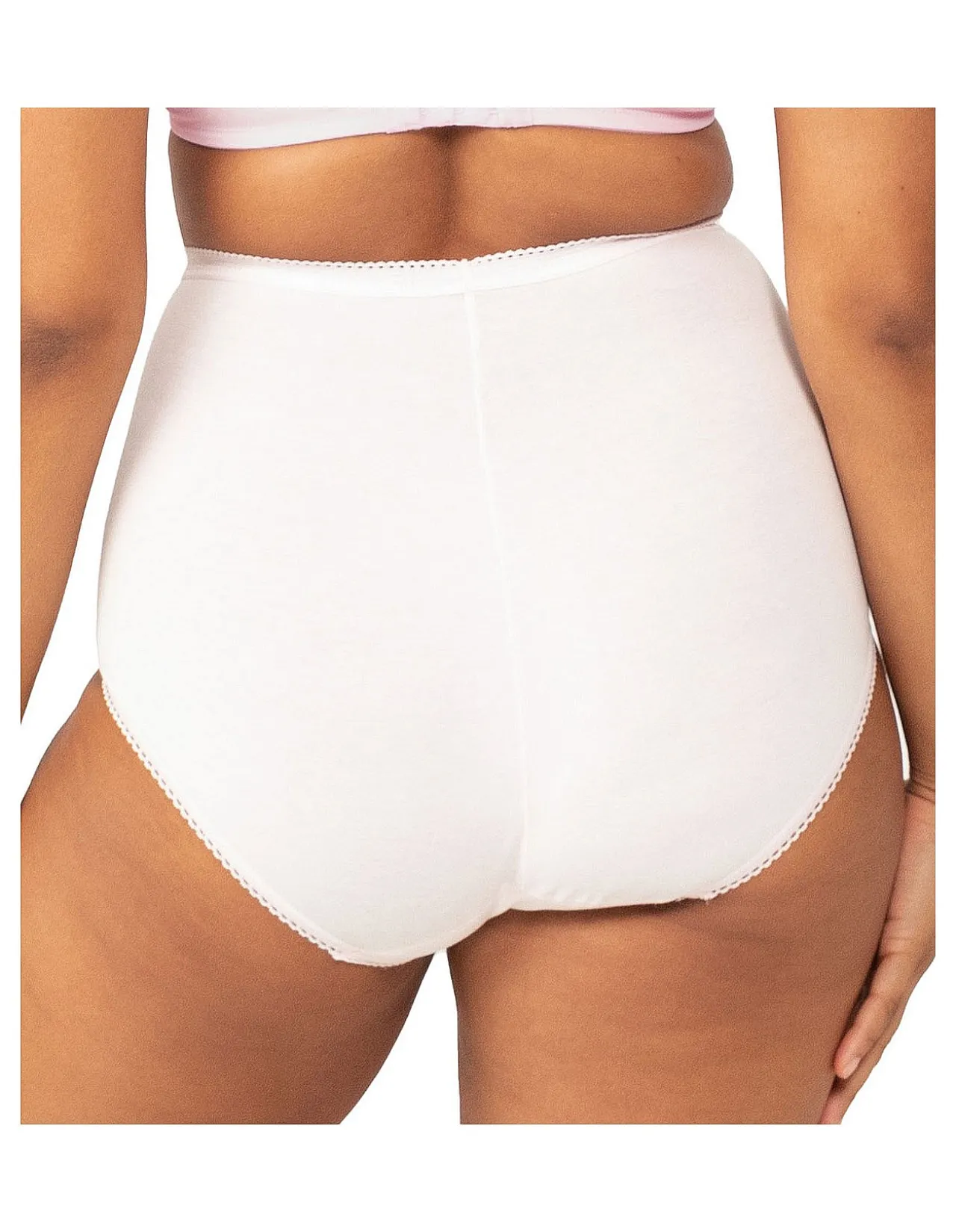 2 Pack Maxi Brief