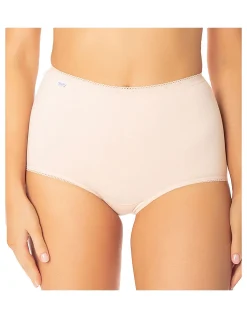 2 Pack Maxi Brief