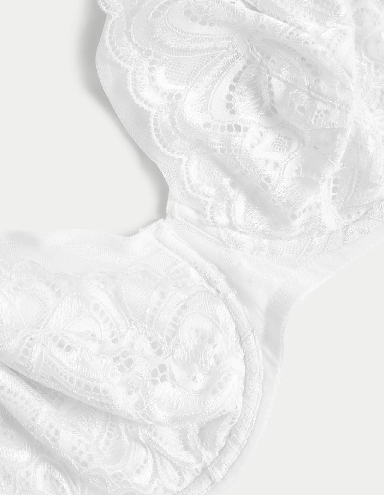 Amelia Lace Natural Lift Wired Full Cup Bra (F+)