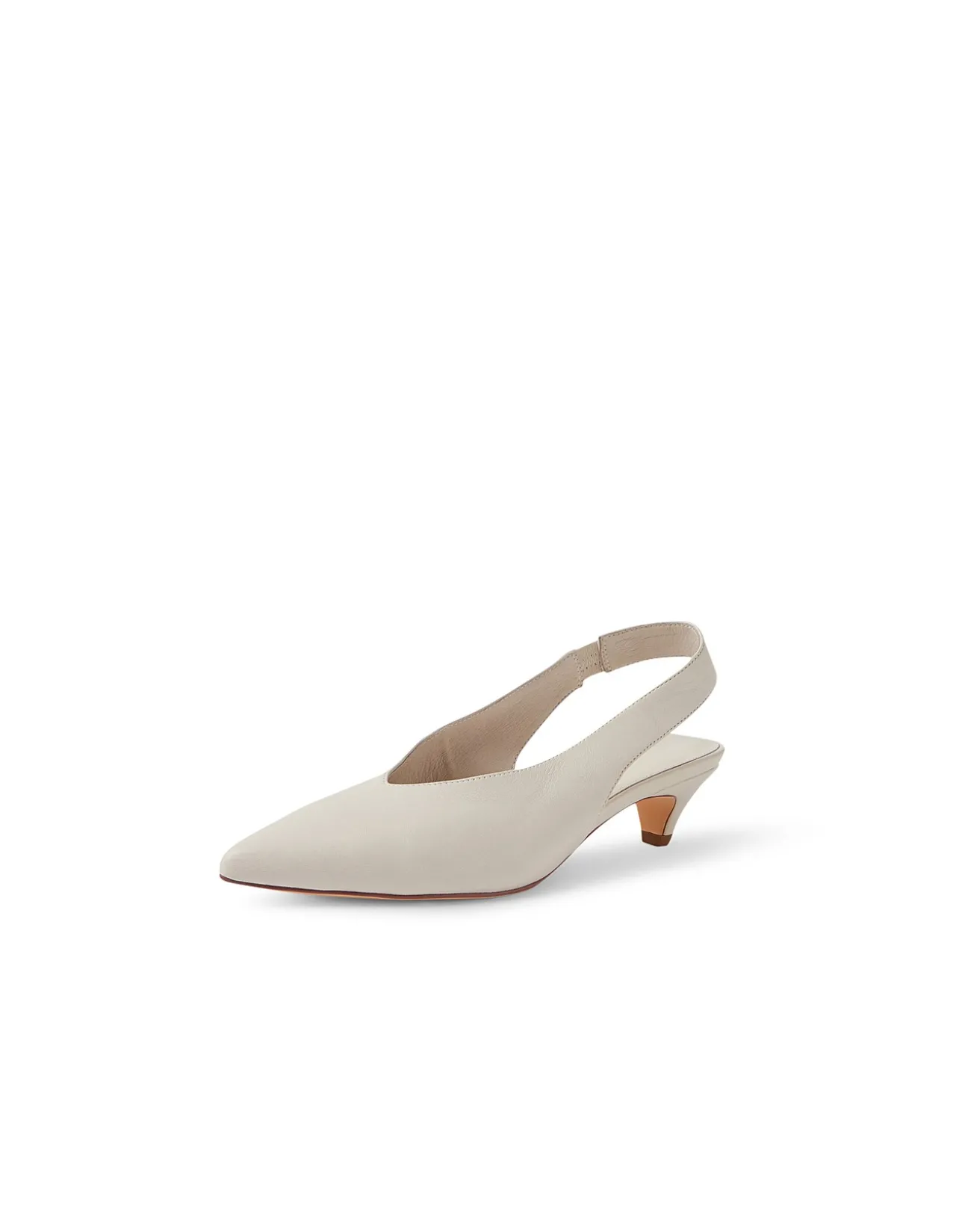 Crissi Pointed Low Heel Slingback Pumps