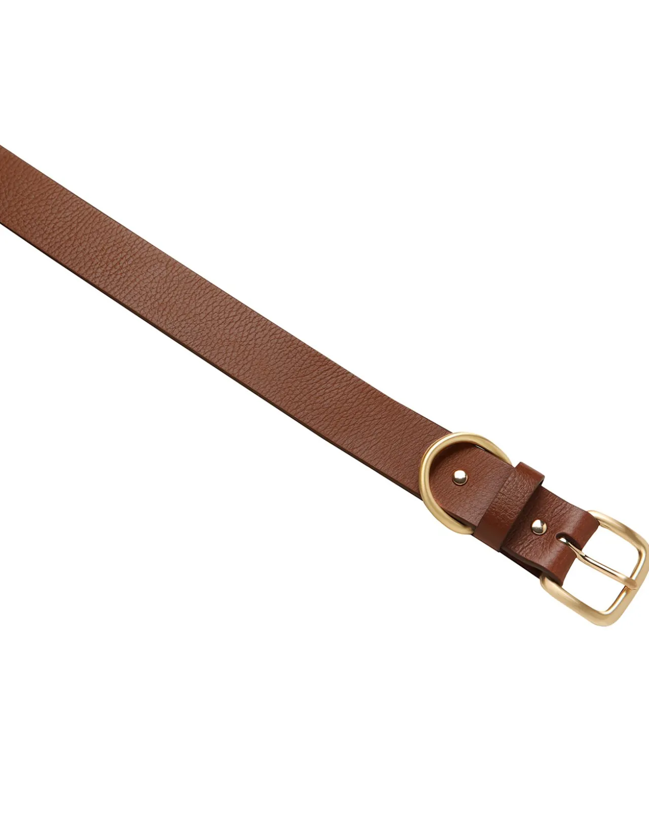 DISARM BELT