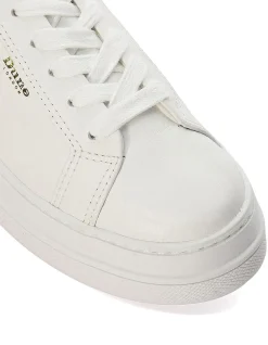 EASTERN FLATFORM TRAINER