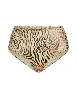 FITS EVERYBODY FULL BRIEF