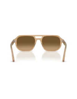 GUIDO BLACK GREEN Sunglasses