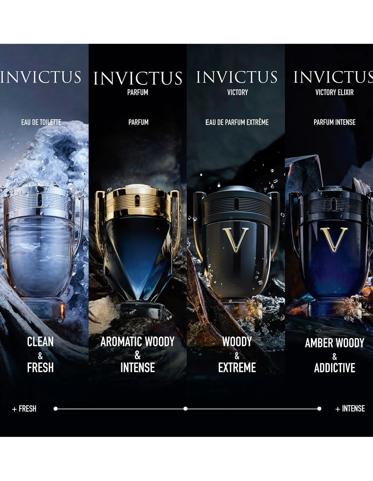 INVICTUS PARFUM 50ML