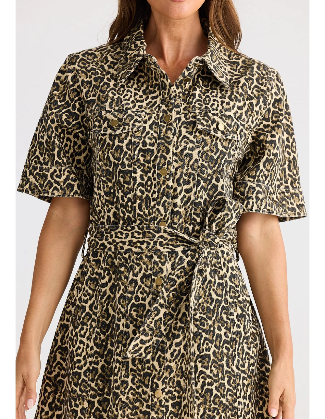 Leroy Leopard Print Cotton Shirt Dress