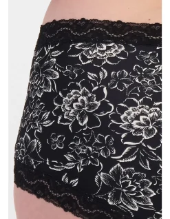 MARAIS MICRO FULL BRIEF