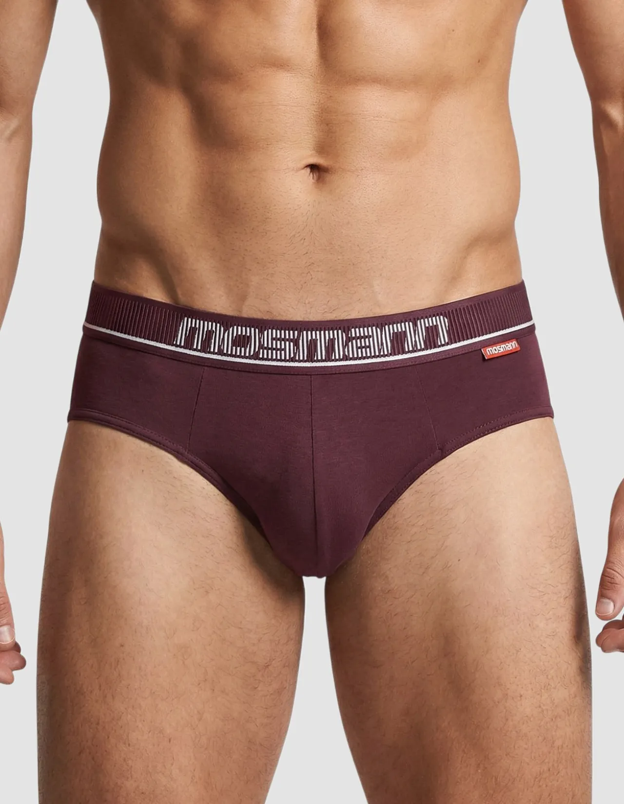 Mens Bamboo Underwear Brief - Apollo