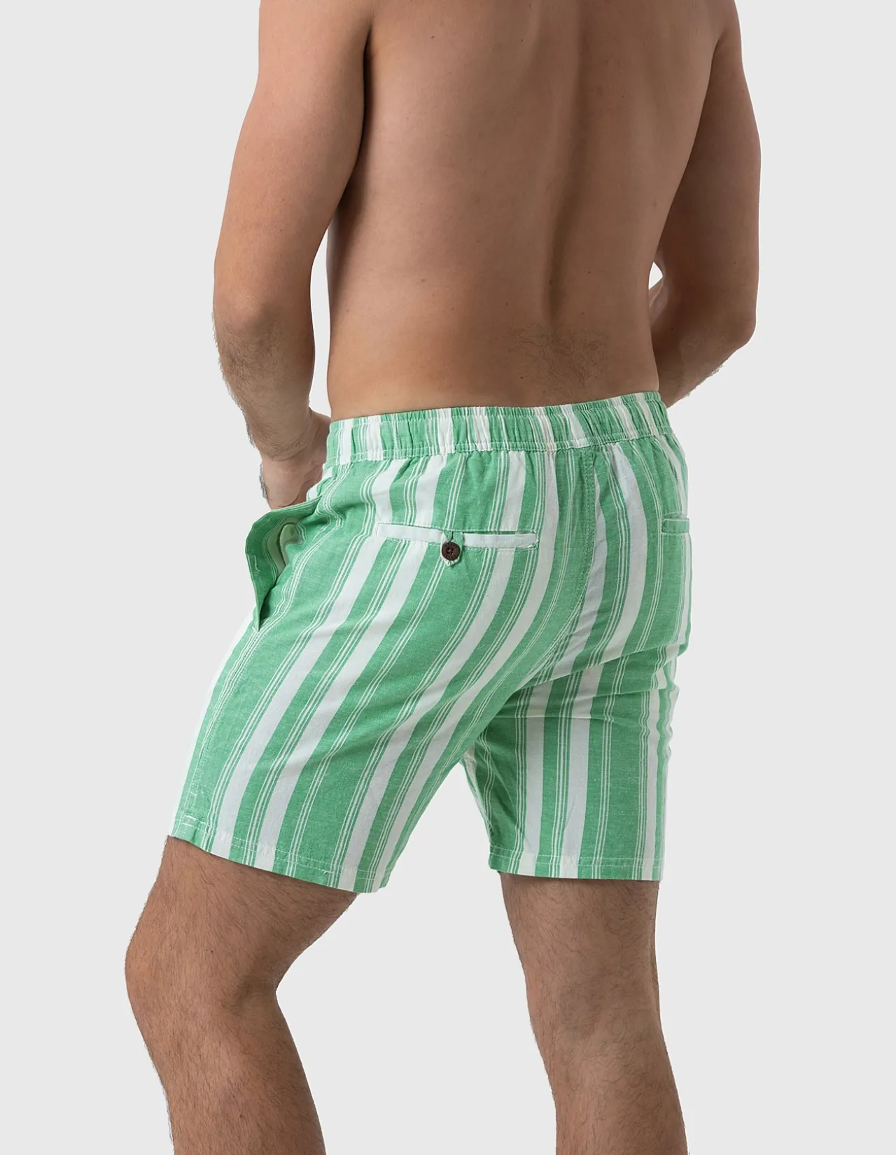 North Compass Shorts