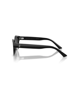 Oval BLACK DARK GREY Sunglasses