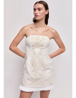 Perilla Embroidered Mini Dress