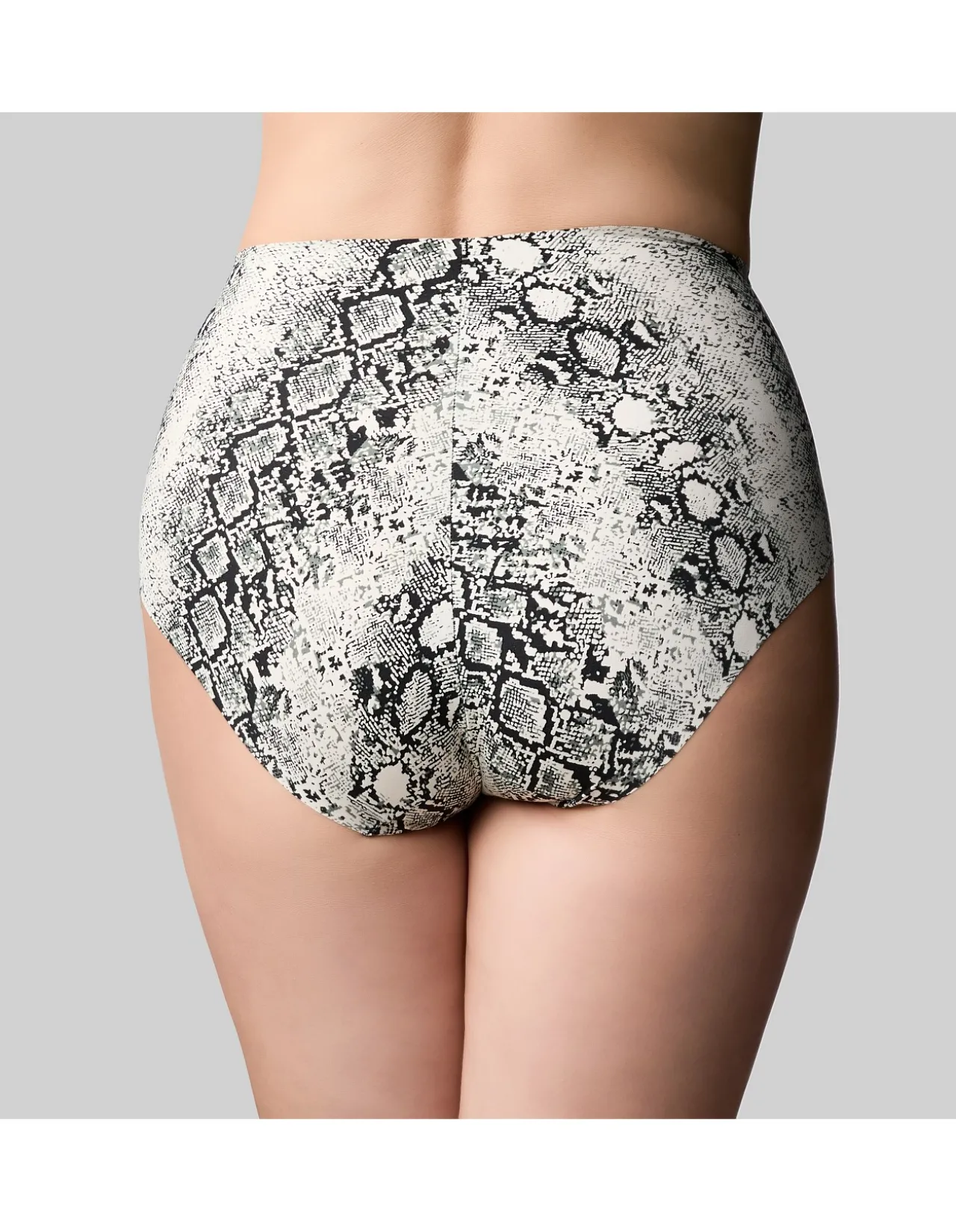 PRECISION FULL BRIEF
