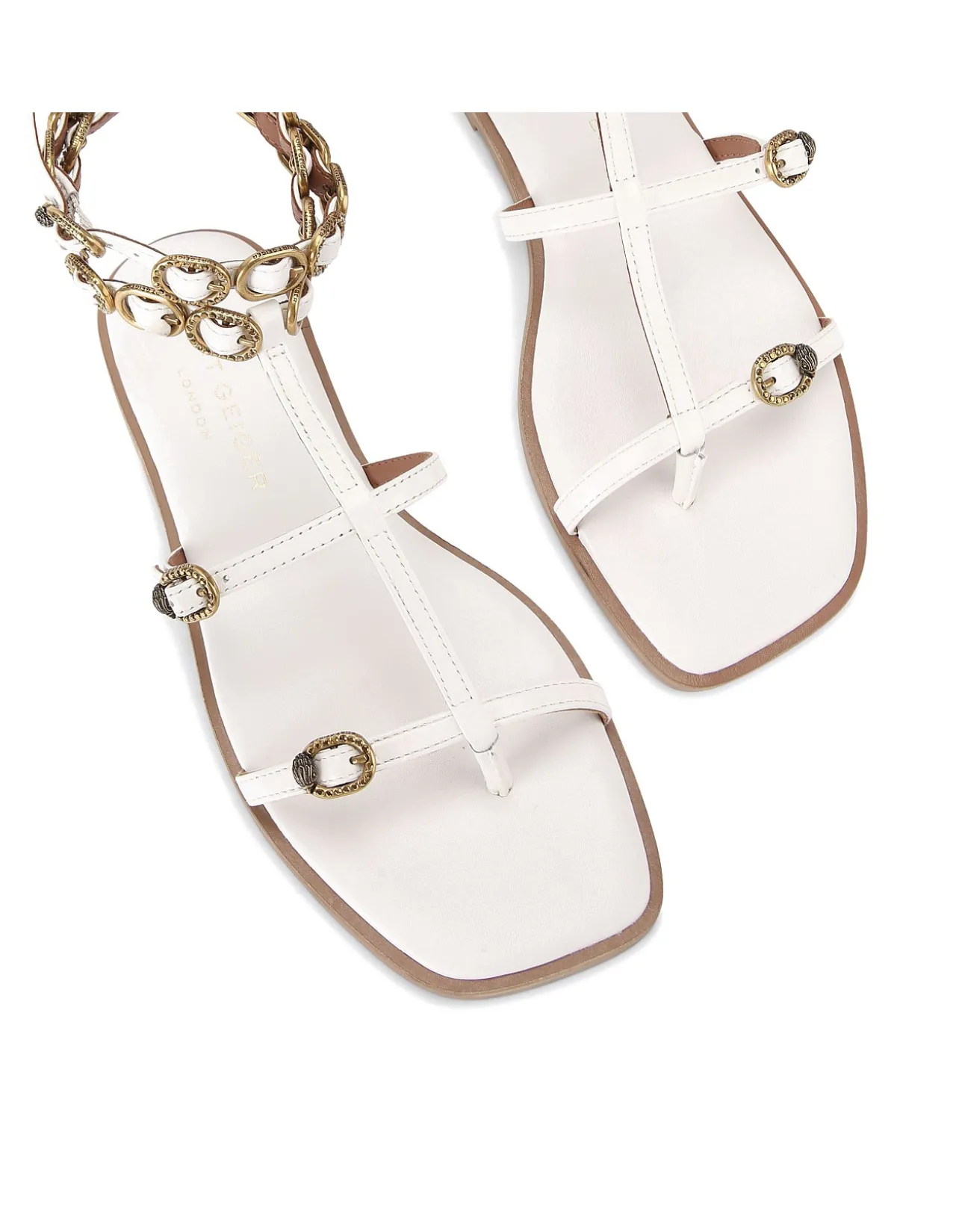 REGENT FLAT GLADIATOR