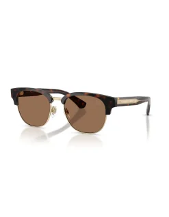 Round DARK HAVANA DARK BROWN Sunglasses