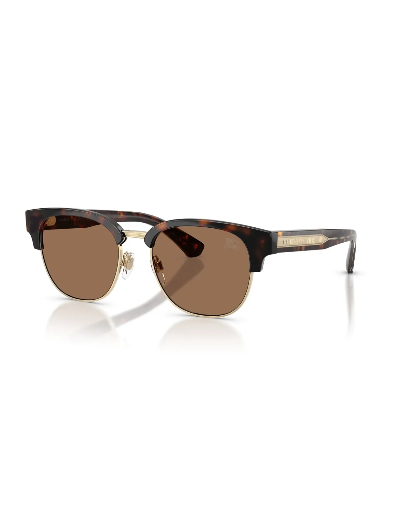Round DARK HAVANA DARK BROWN Sunglasses