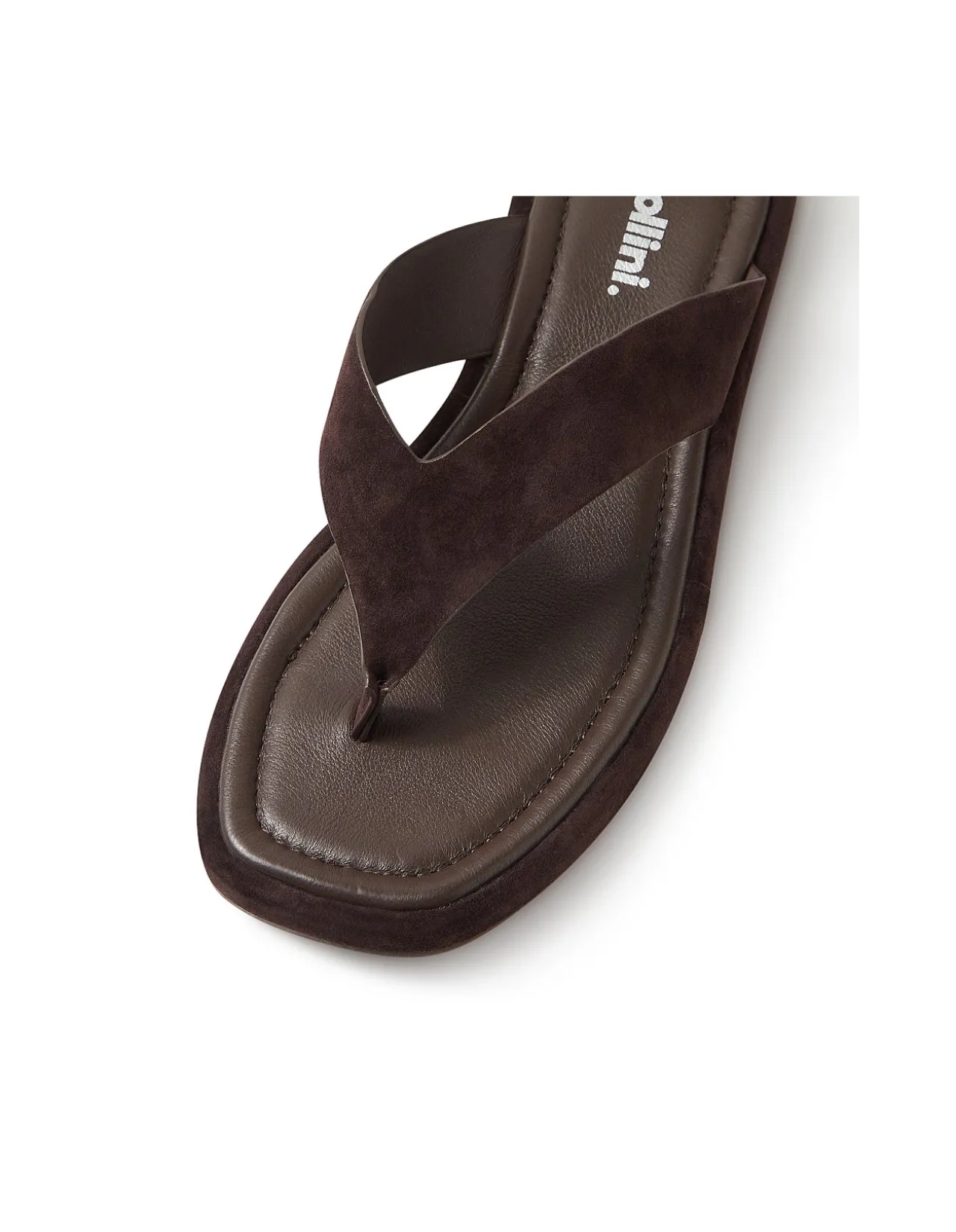 Roxee Suede Thong Sandals