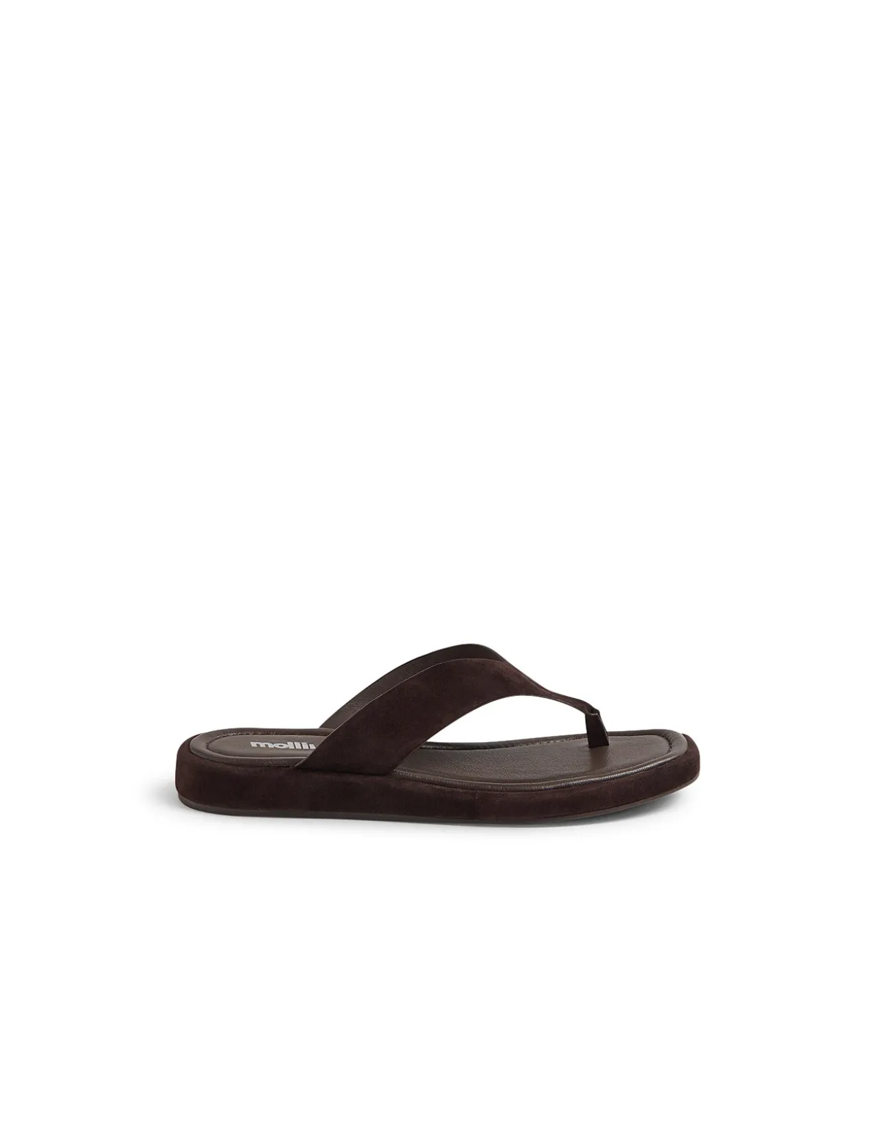 Roxee Suede Thong Sandals