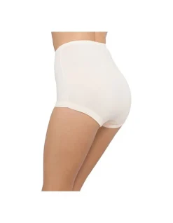 Satin Touch High Waist Brief
