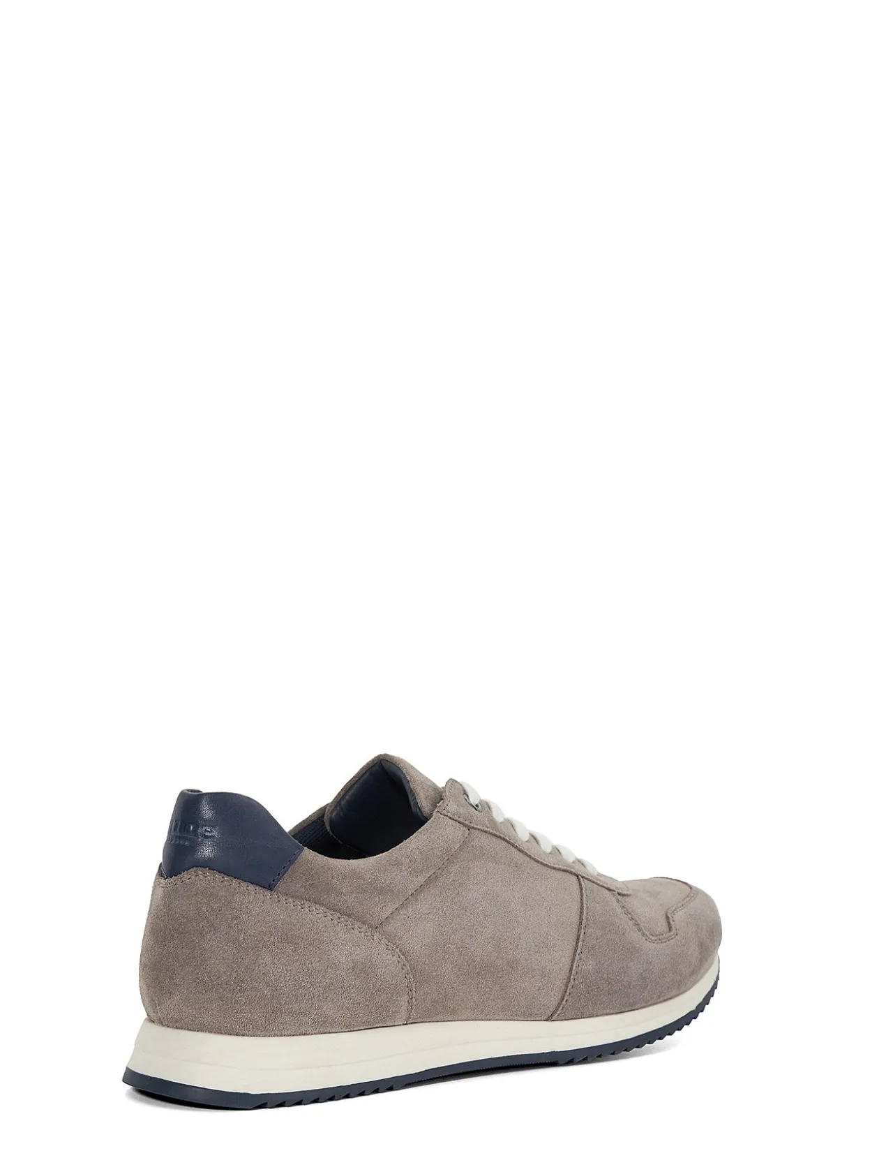 TOULOUS TRAINER