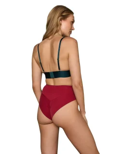 TULASI MICROFIBRE AND LACE HIGH WAIST KNICKER