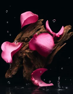 VELVET TENDER OUD EDP 100ML